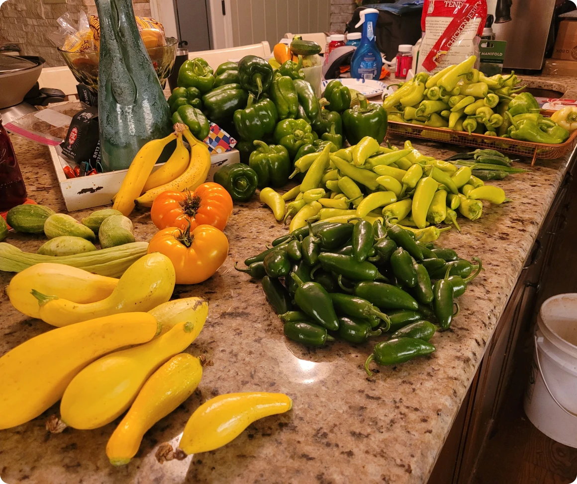Assorted fresh vegetables on a kitchen counter.