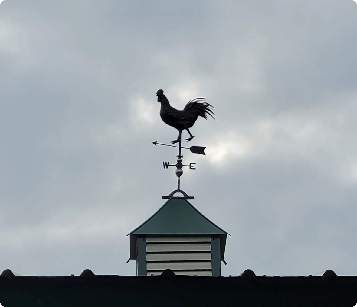 Rooster weather vane on rooftop against sky.